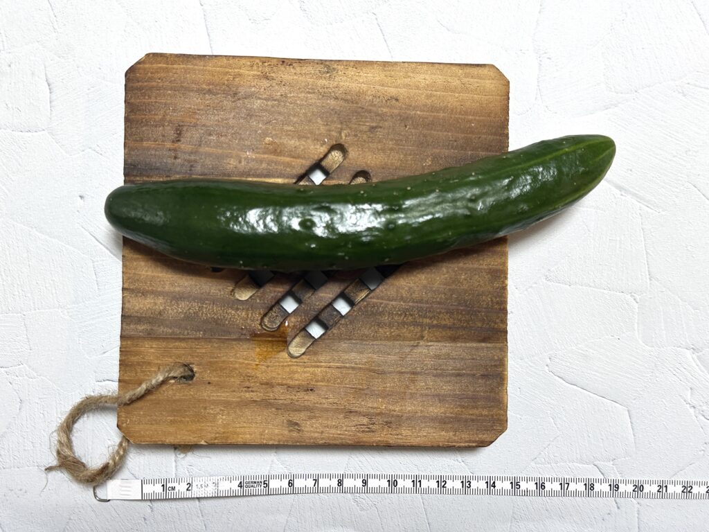 野菜オナニーで使ったきゅうりの長さ